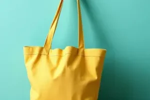 Bolsa Família