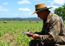 Cerrado em Pé