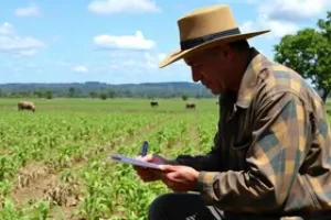 Cerrado em Pé