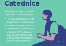 CadÚnico