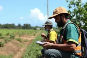 FGTS libera saque de até R$ 6.220 para trabalhadores de 4 cidades do Paraná