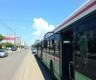 ônibus grátis
