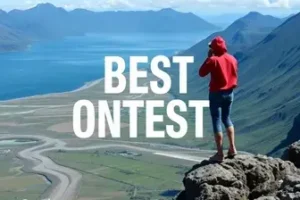 concursos abertos em Araucária