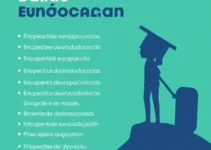 vagas abertas Arco Educação 2025