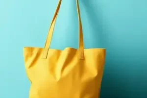 Bolsa Família e Tarifa Social