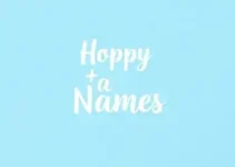 nomes para Instagram
