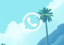 WhatsApp da Americanas