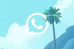 WhatsApp da Americanas